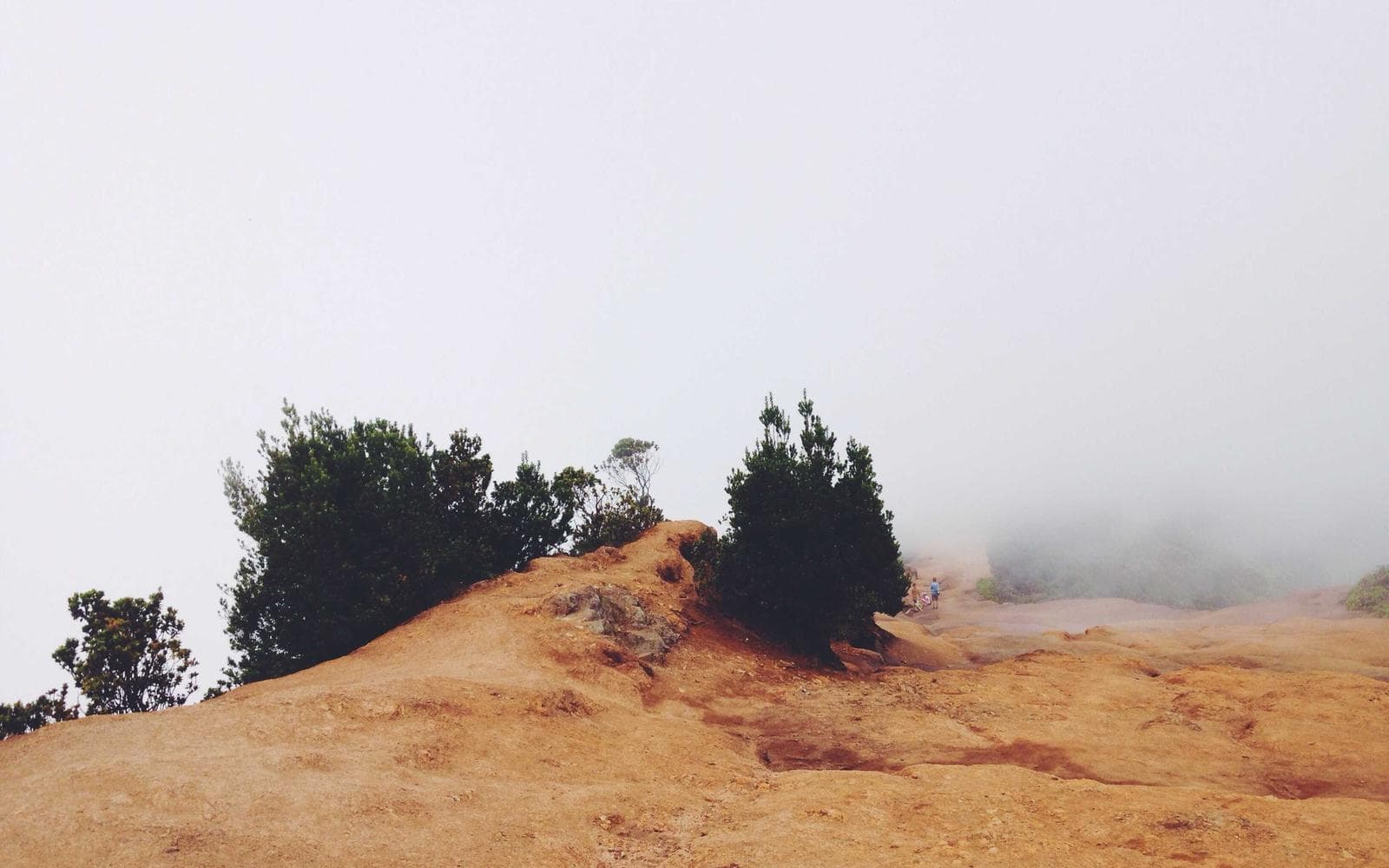 Babcock Mid-Century Stay 1