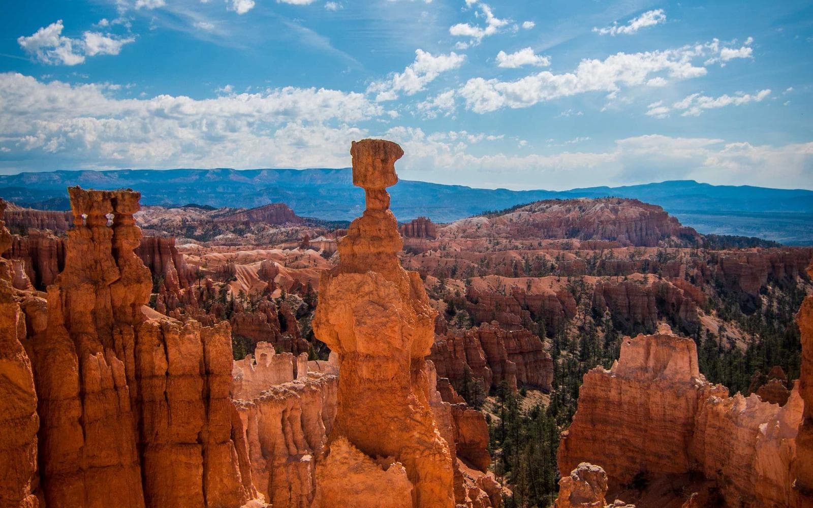 Mendenhall Garden Home