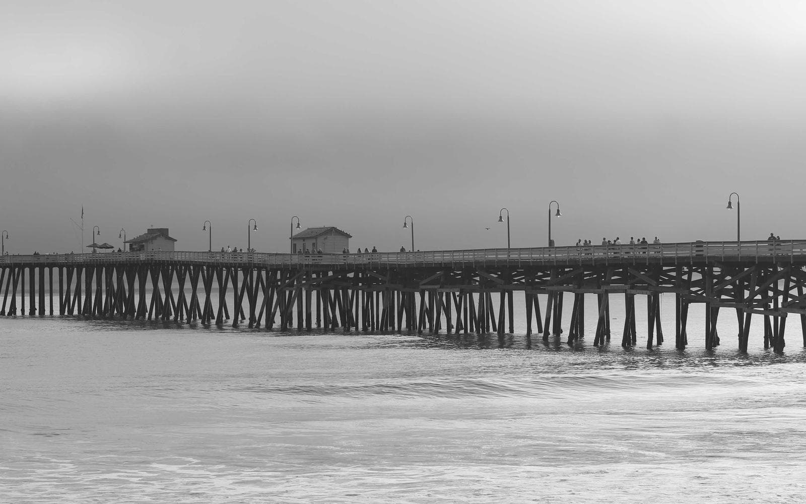 Annie Street Contemporary